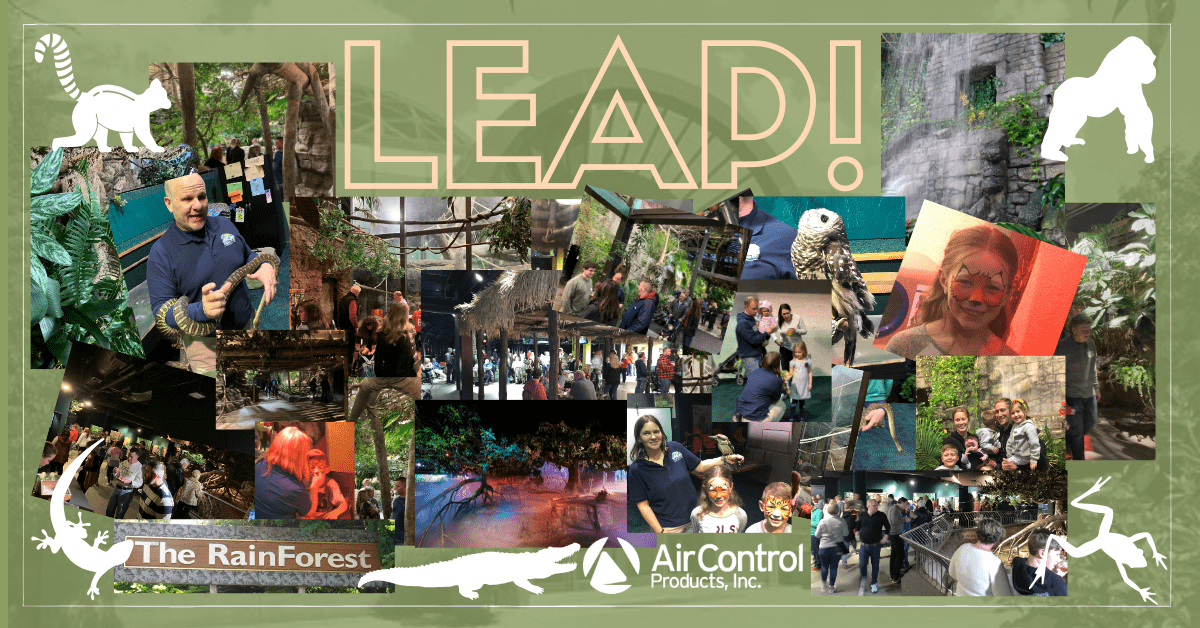 Collage - LEAP! With Air Control Products LEAP! At the Rainforest